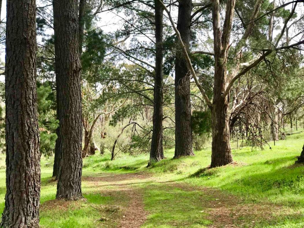 Adelaide Hills Escape Hotel Woodside Luaran gambar