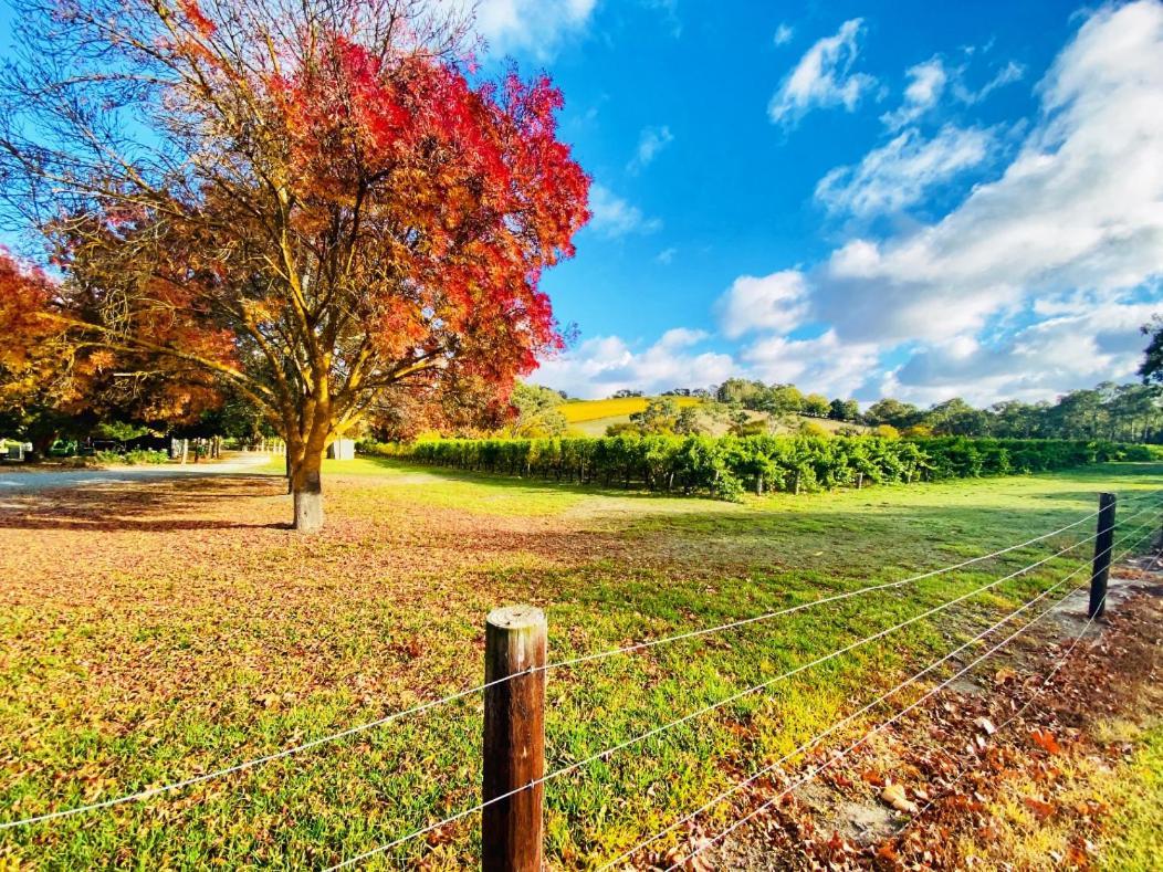 Adelaide Hills Escape Hotel Woodside Luaran gambar