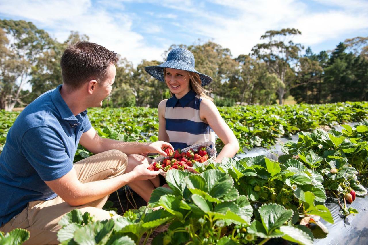 Adelaide Hills Escape Hotel Woodside Luaran gambar