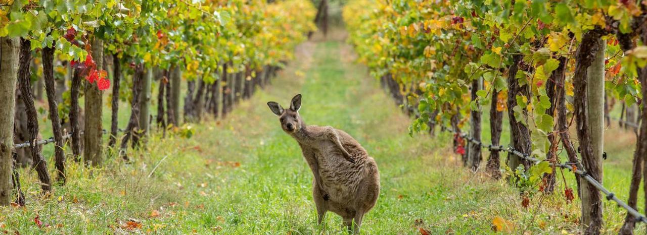 Adelaide Hills Escape Hotel Woodside Luaran gambar